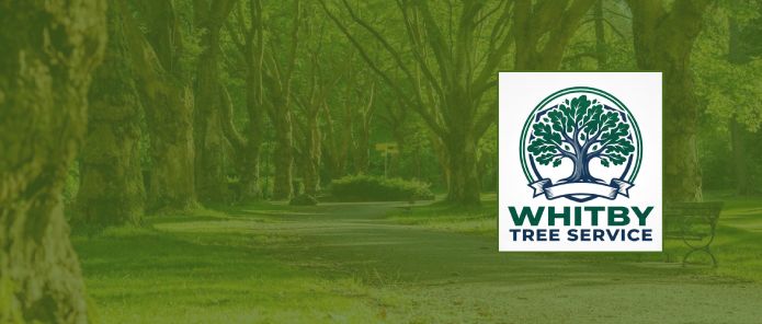 Whitby Tree Service